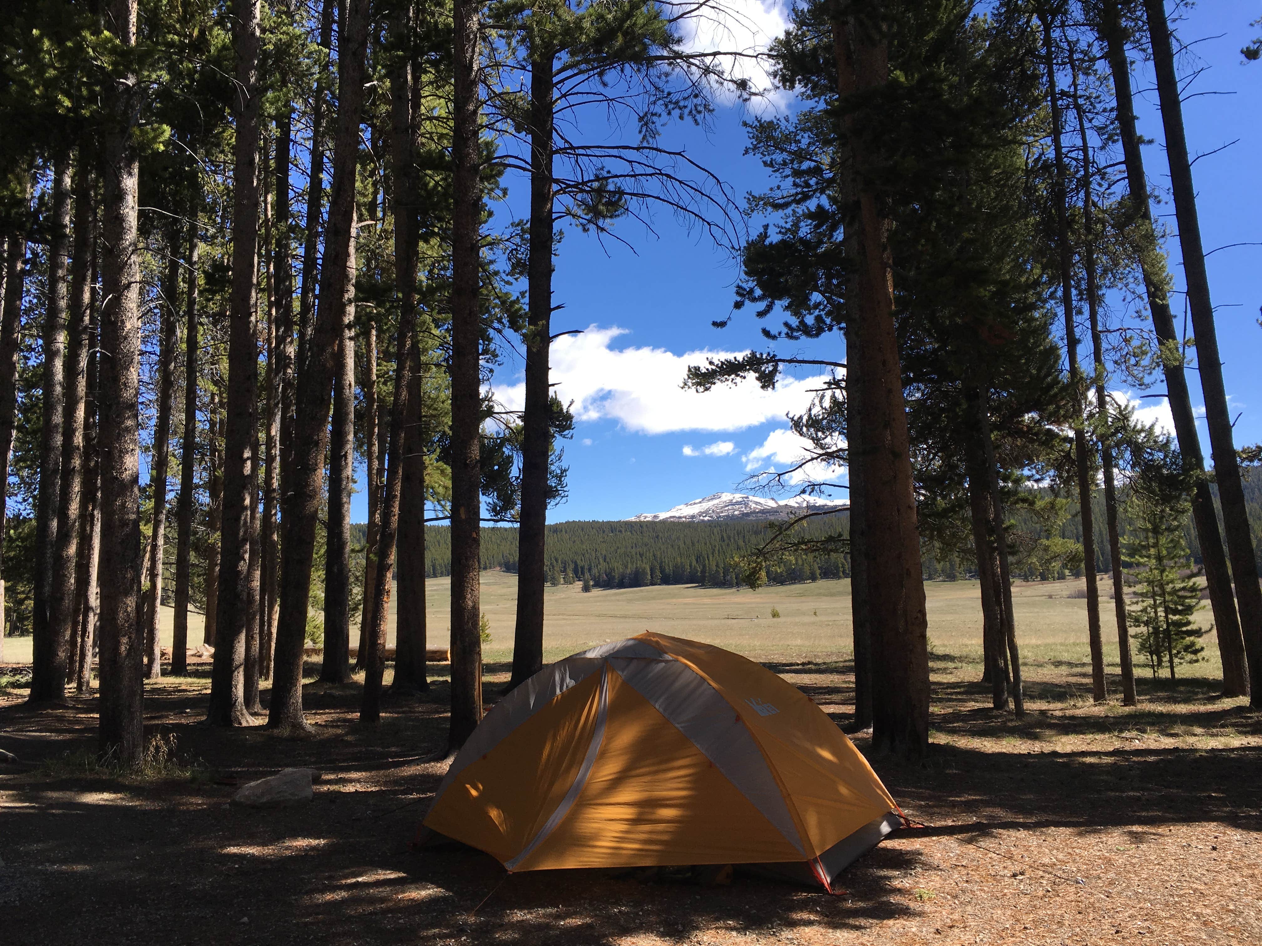 Jess K.'s photo at Bighorn National Forest Sitting Bull Campground in Wyoming
