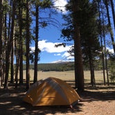 Review photo of Sitting Bull Campground by Jess K., June 15, 2016
