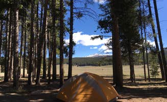 Jess K.'s photo at Bighorn National Forest Sitting Bull Campground in Wyoming