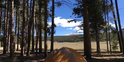 Camping