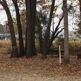 Review photo of Paris Landing State Park Campground by Shelly S., November 24, 2016