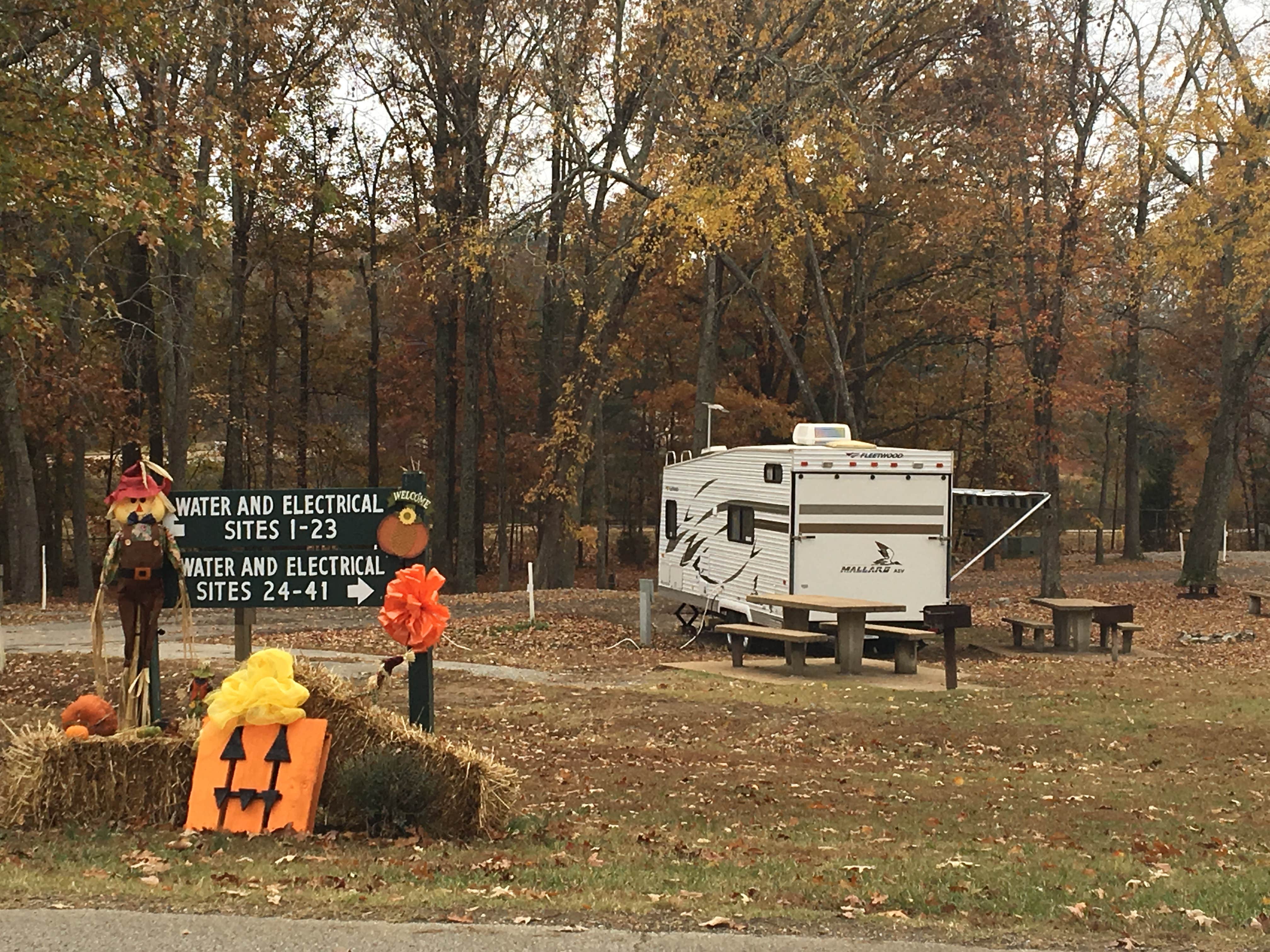 Shelly S.'s photo at Paris Landing State Park Campground near New Concord, KY