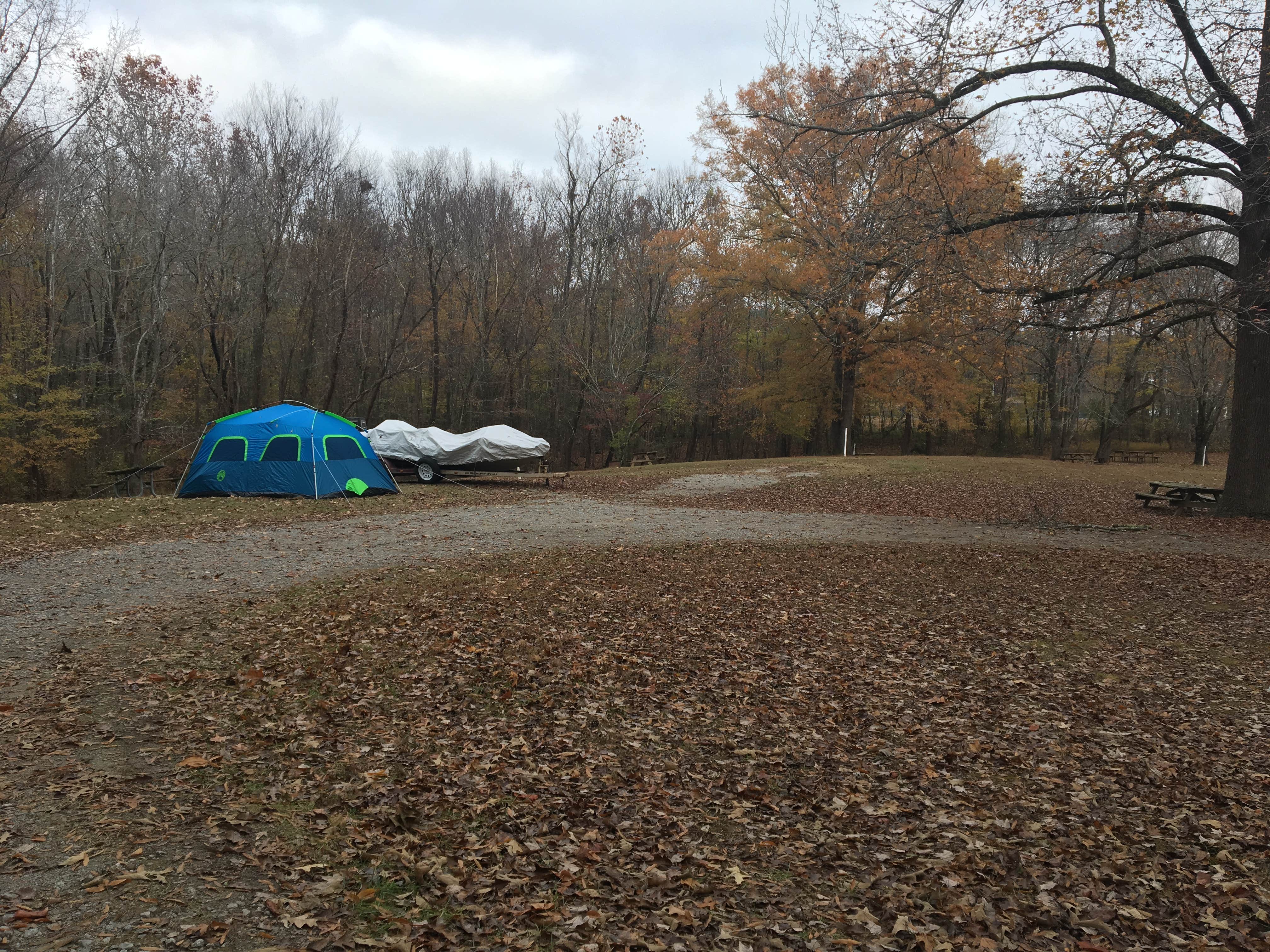 Shelly S.'s photo at Paris Landing State Park Campground near Union City, TN