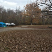 Review photo of Paris Landing State Park Campground by Shelly S., November 24, 2016