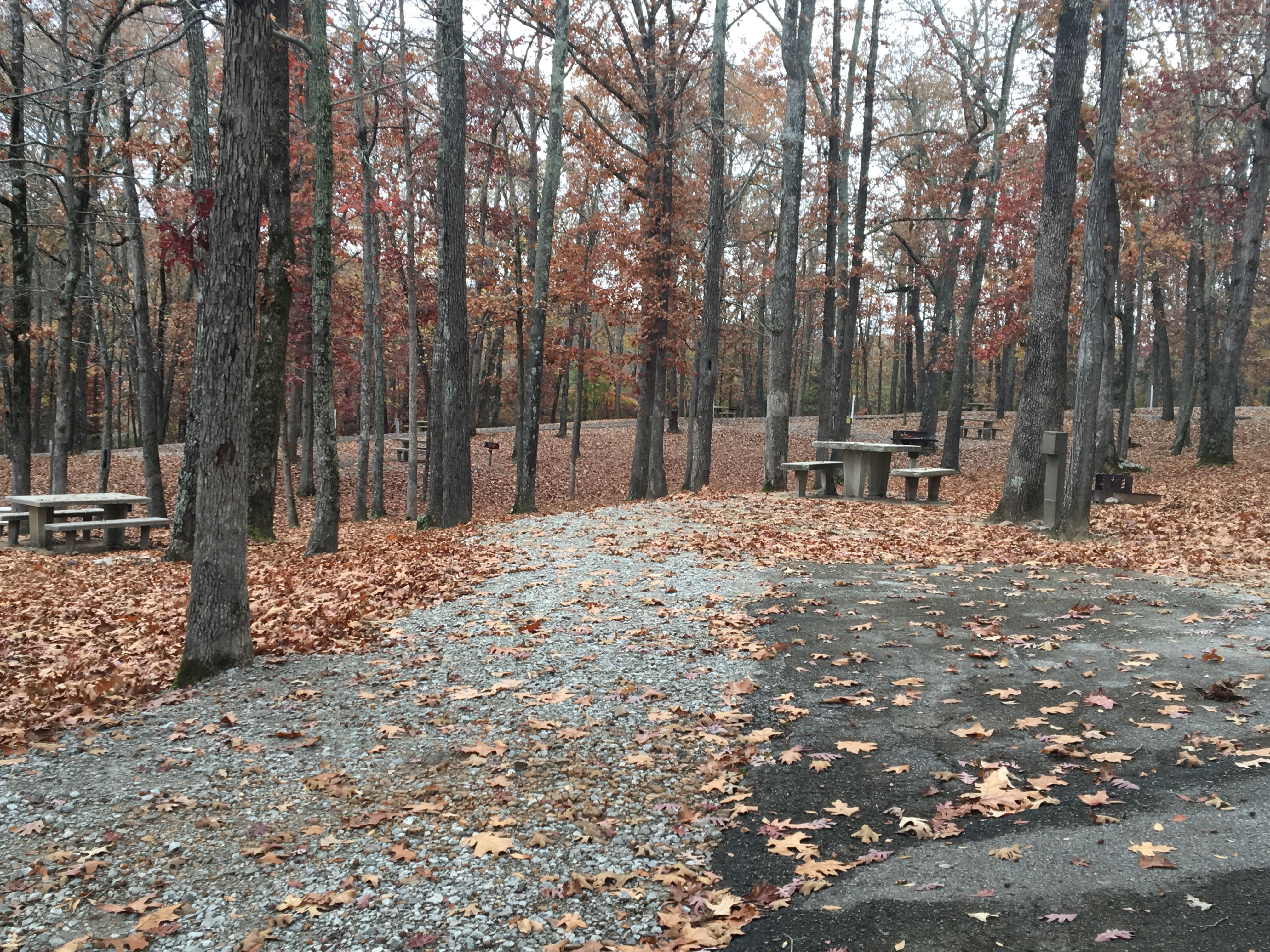 Camper submitted image from Paris Landing State Park Campground - 4