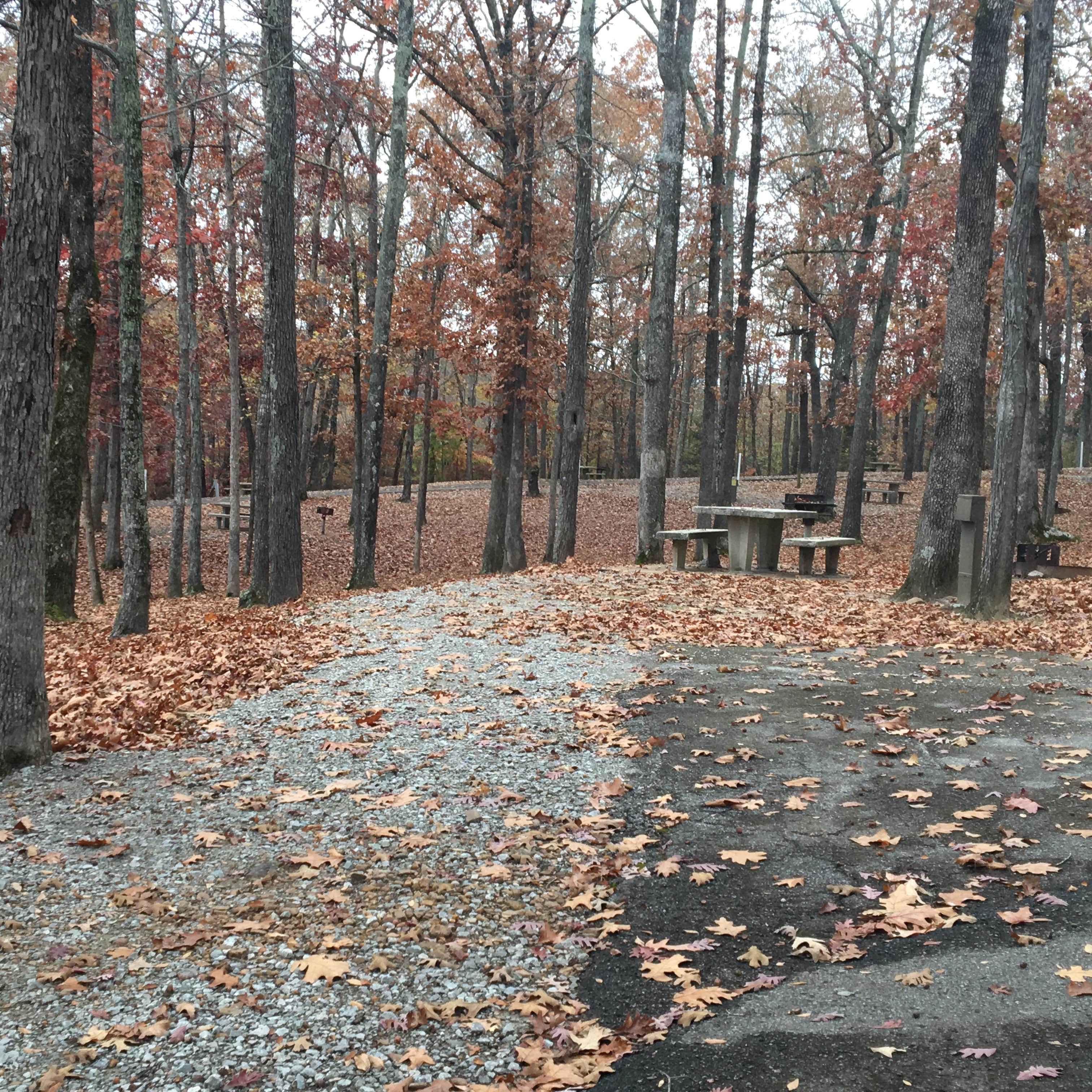 Paris Landing State Park Camping The Dyrt