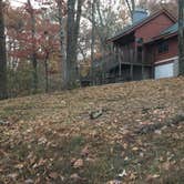 Review photo of Paris Landing State Park Campground by Shelly S., November 24, 2016