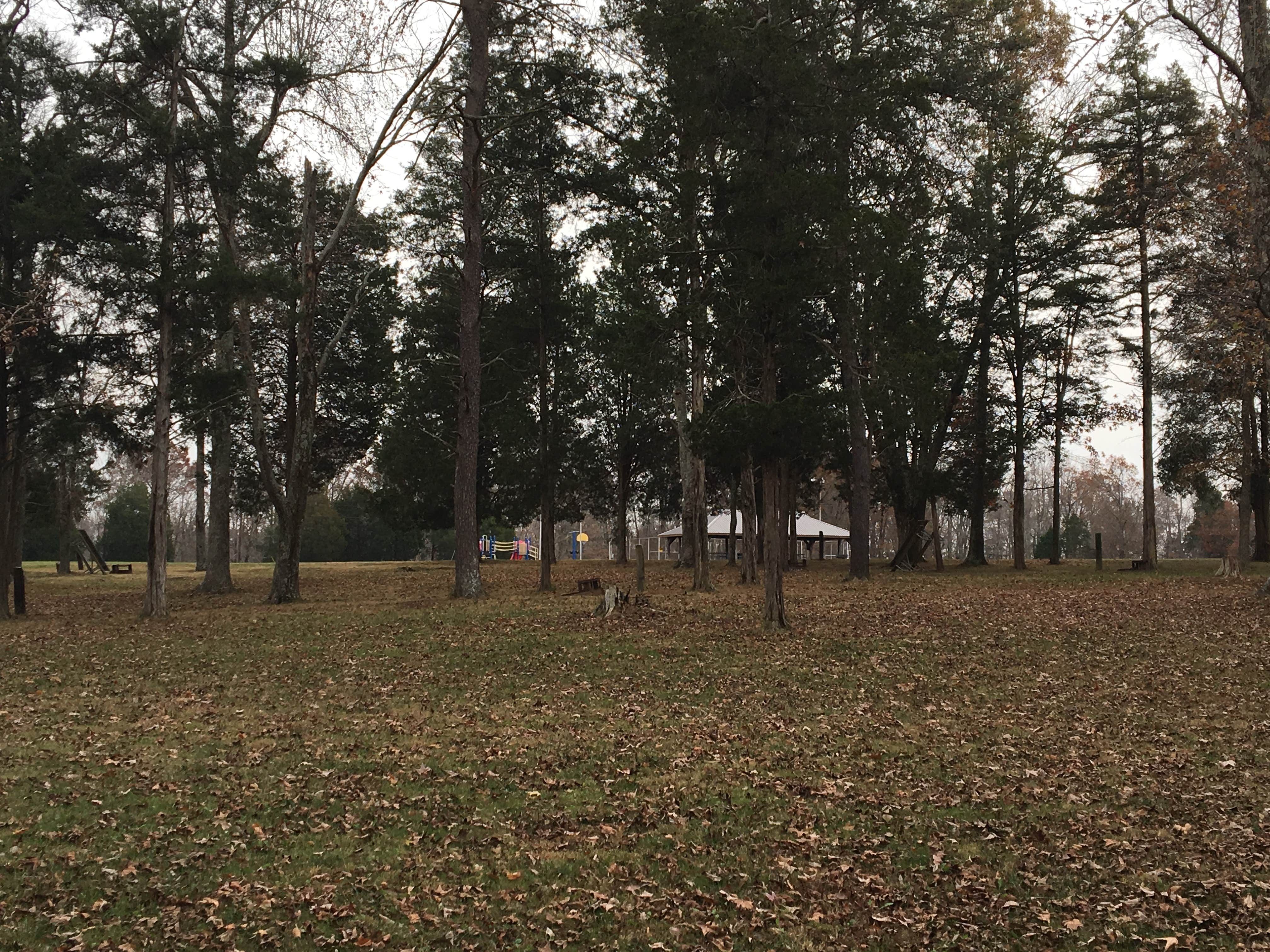 Camper submitted image from Lake Malone State Park Campground - 2