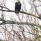 Review photo of Namanock Island — Delaware Water Gap National Recreation Area by John B., June 15, 2016