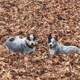 Review photo of Energy Lake Campground by Staci R., December 2, 2016