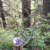 Review photo of Tillamook Head National Recreation Trail - Hikers Only by Bjorn S., June 15, 2016