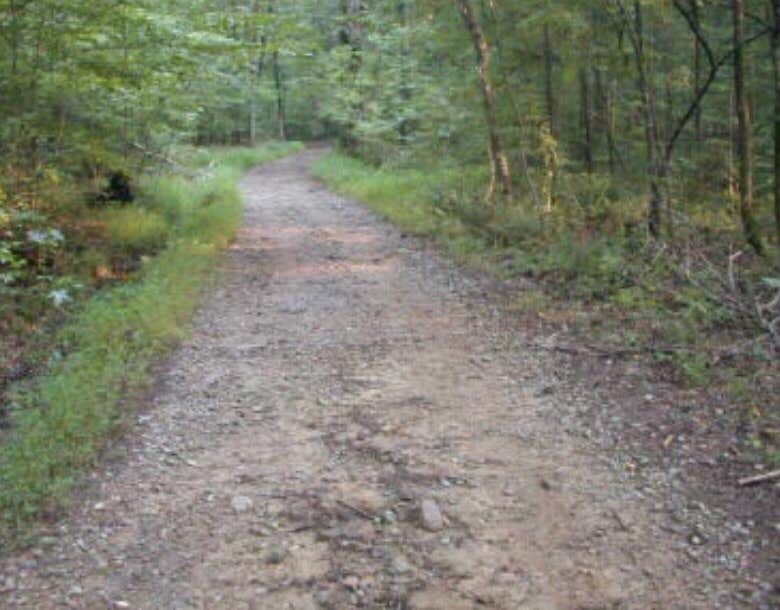 Camper submitted image from Oak Mountain State Park Campground - 5
