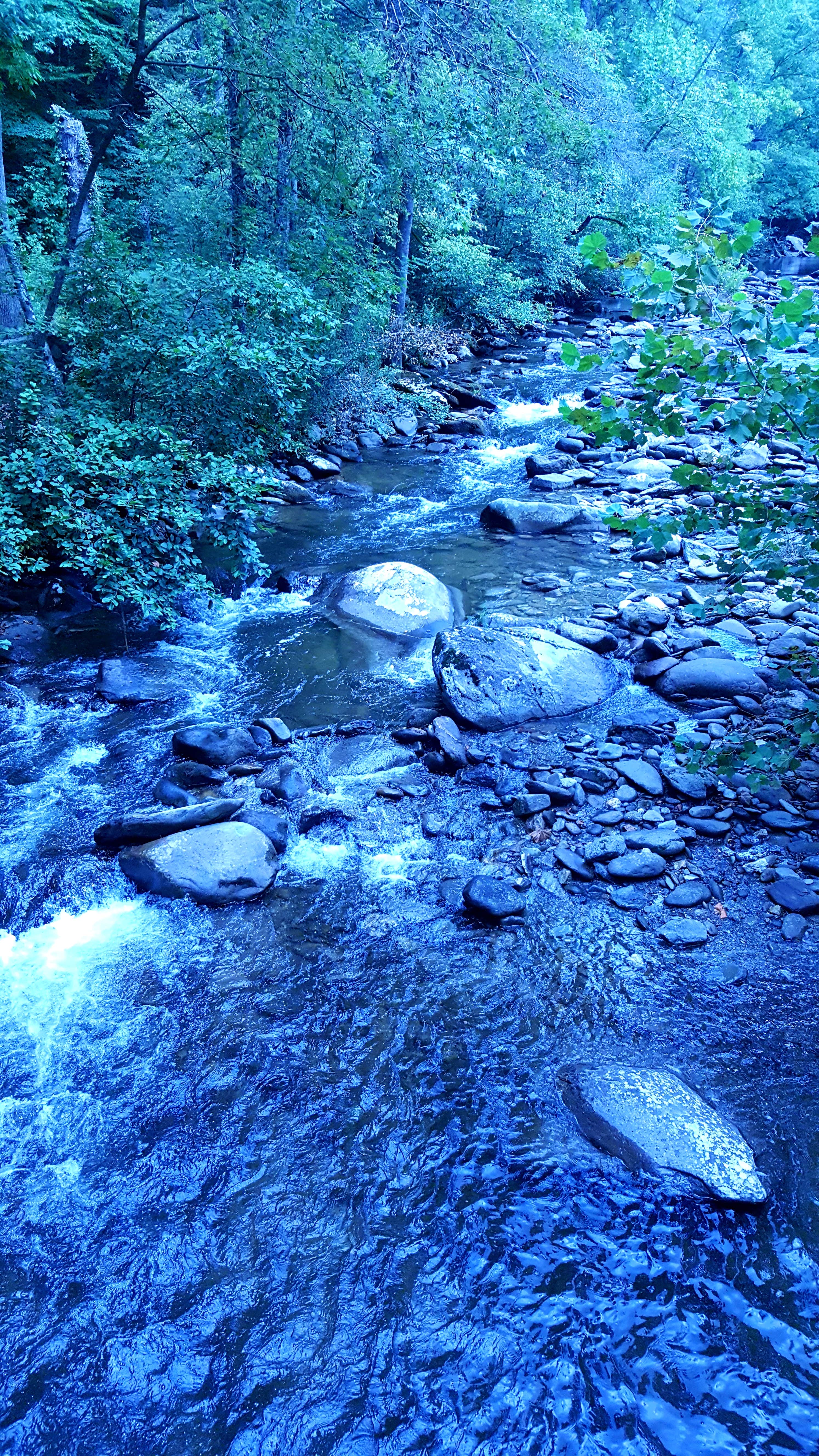 Camper-submitted photo at Tellico River Campgrounds near Murphy, NC