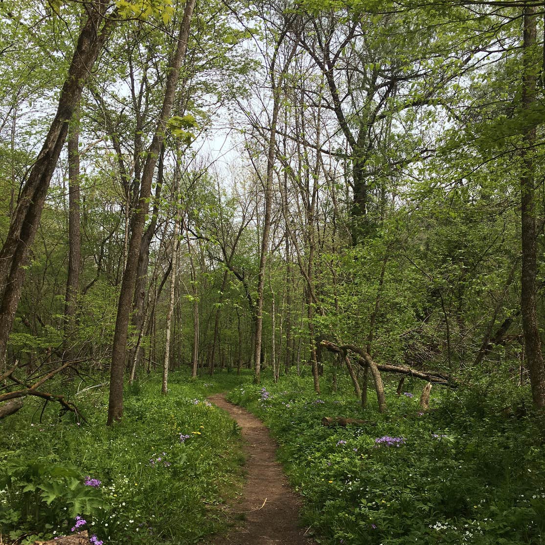 Whitewater State Park Minneiska Campground Camping The Dyrt
