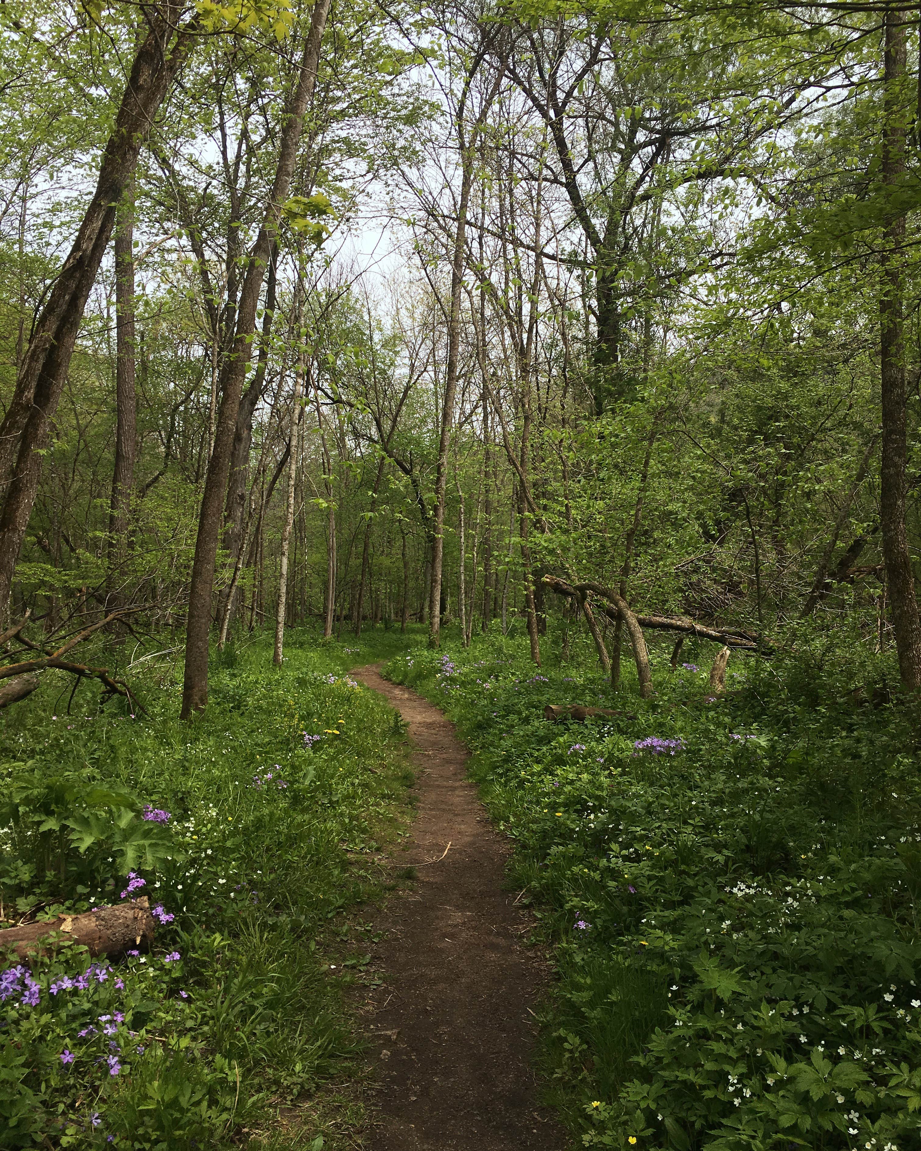 Camper submitted image from Minneiska Campground — Whitewater State Park - 5