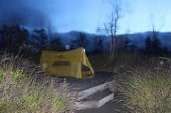 Camper submitted image from Kulanaokuaiki Campground — Hawai'i Volcanoes National Park - 4