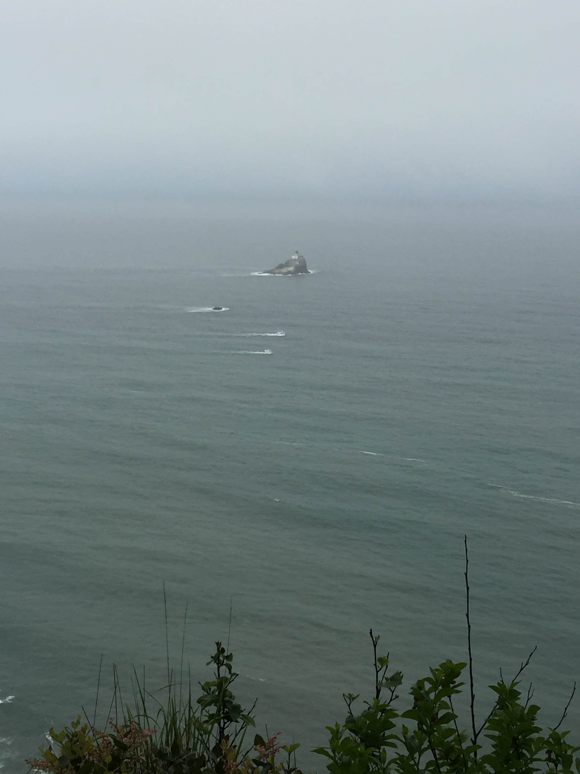 Camper-submitted photo at Tillamook Head National Recreation Trail - Hikers Only near Seaside, OR