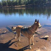 Review photo of Aspen Campground by Carrie Jo P., December 27, 2016