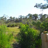 Review photo of Topsail Hill Preserve State Park Campground by John O., December 28, 2016