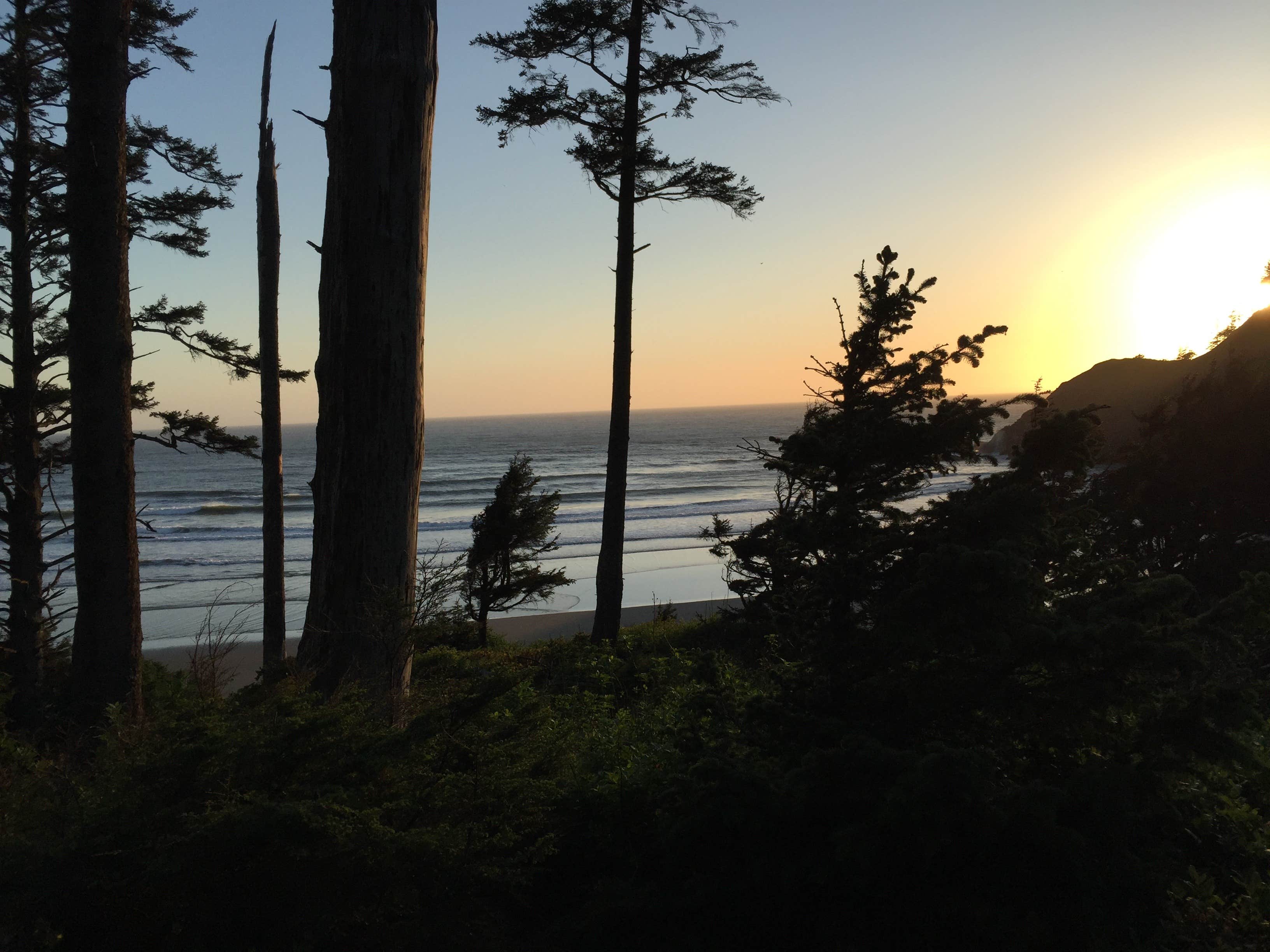 Camper-submitted photo at Tillamook Head National Recreation Trail - Hikers Only near Seaside, OR