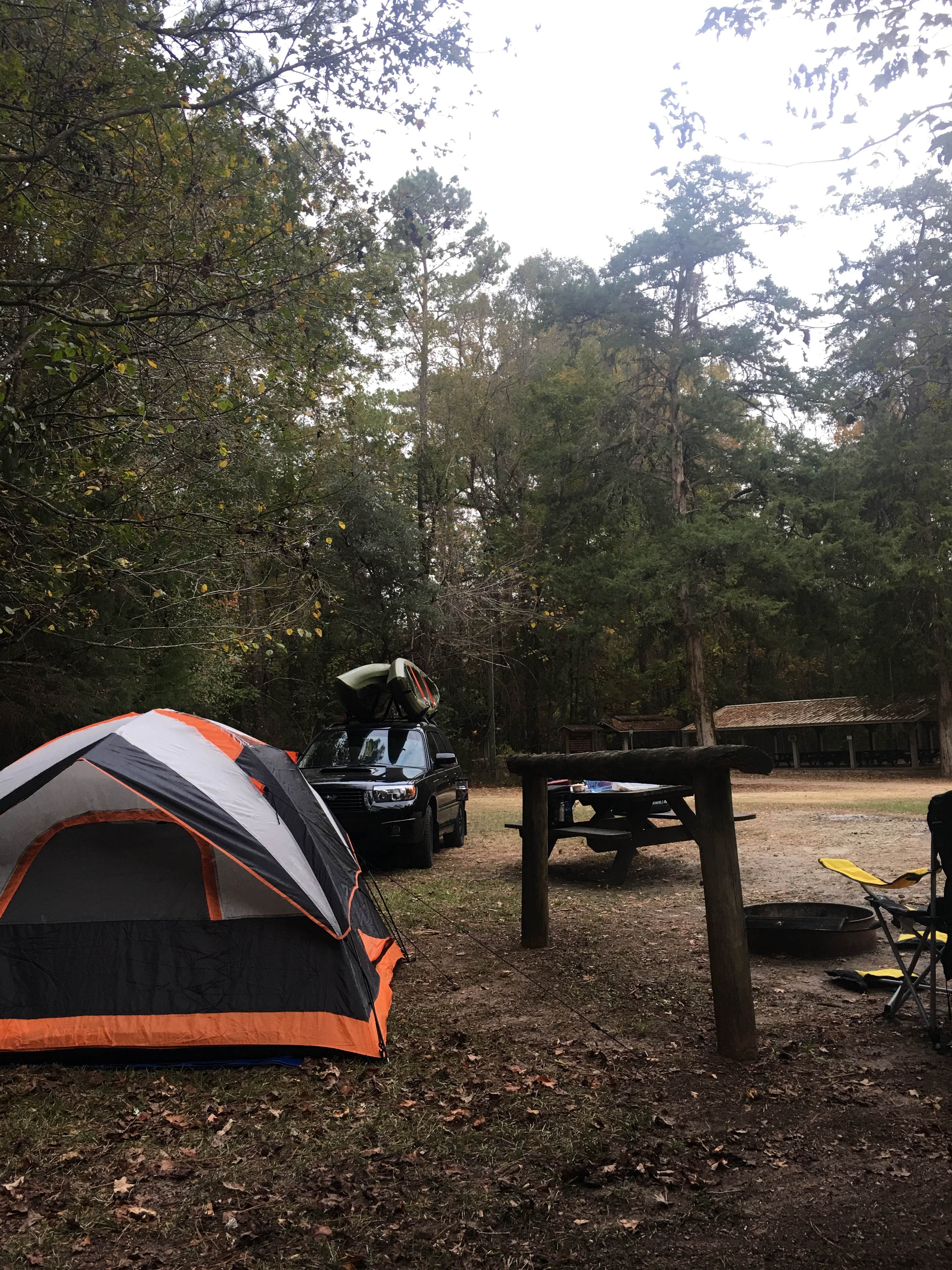 Camper submitted image from Blue Hole Campground — Florida Caverns State Park - 4