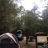 Review photo of Blue Hole Campground — Florida Caverns State Park by Zack C., January 3, 2017