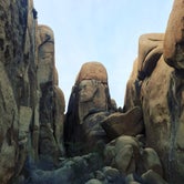 Review photo of Jumbo Rocks Campground — Joshua Tree National Park by Brian W., January 7, 2017