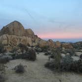 Review photo of Jumbo Rocks Campground — Joshua Tree National Park by Brian W., January 7, 2017
