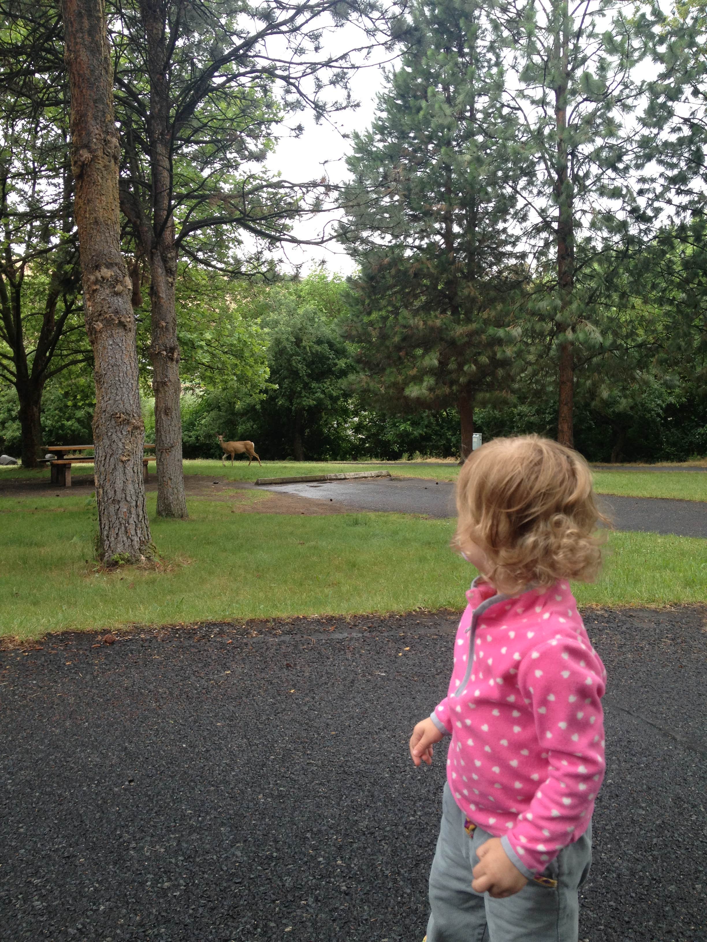 Camper submitted image from Hells Gate State Park Campground - 4