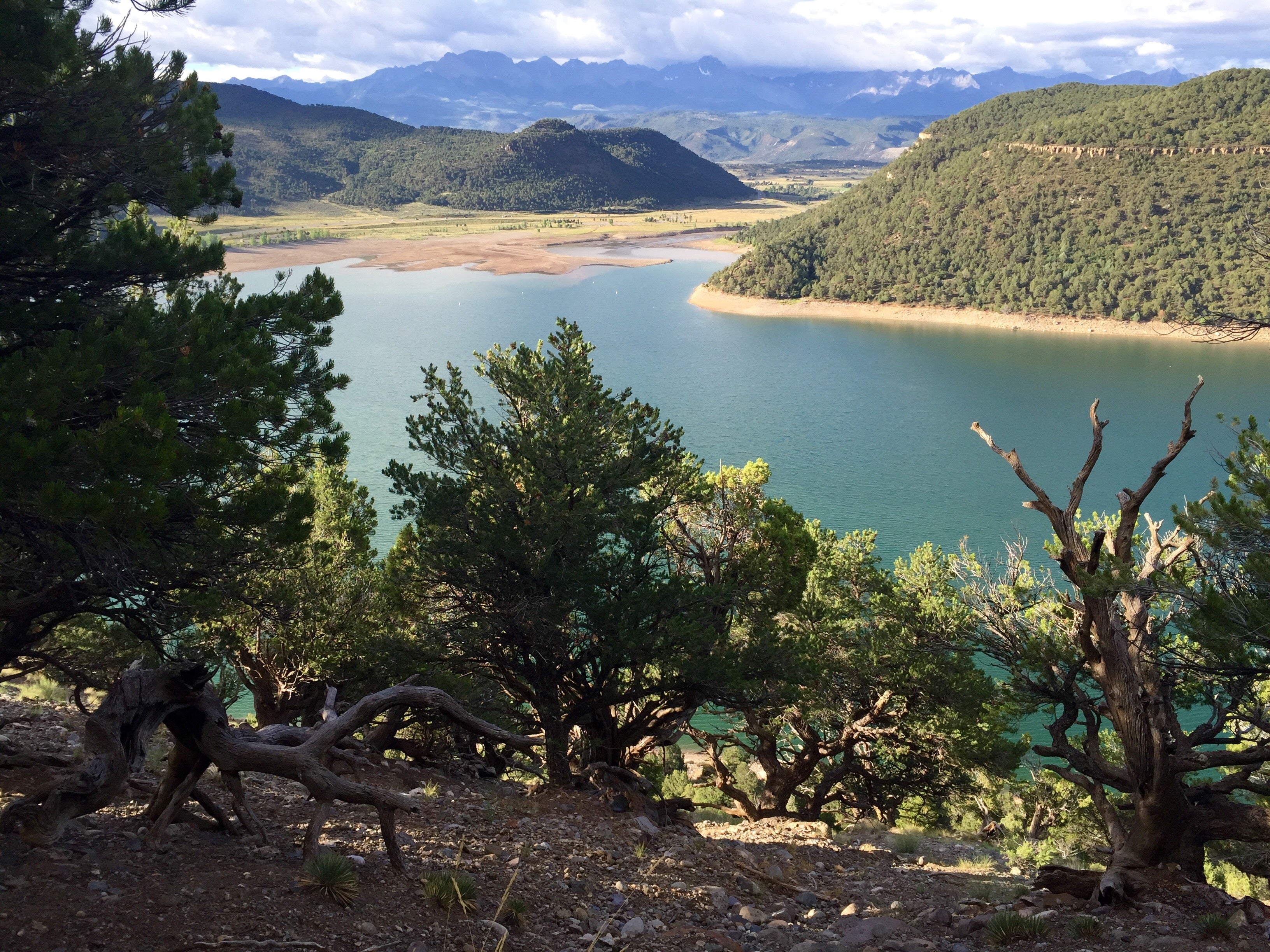 Camper submitted image from Elk Ridge Campground — Ridgway State Park - 2
