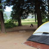 Review photo of Graham Creek Campground by Dominic U., January 25, 2017