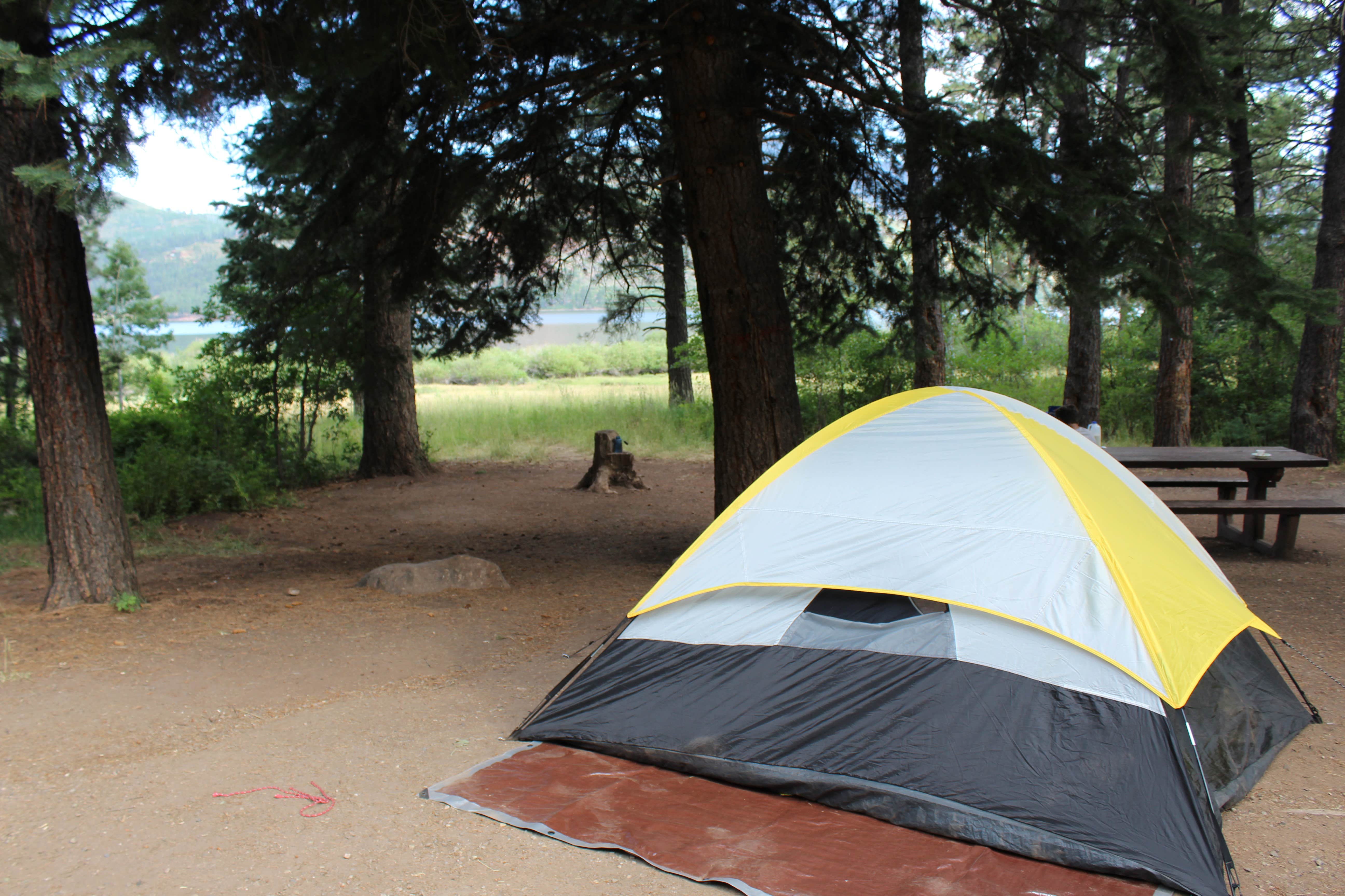 Camper submitted image from Graham Creek Campground - 1