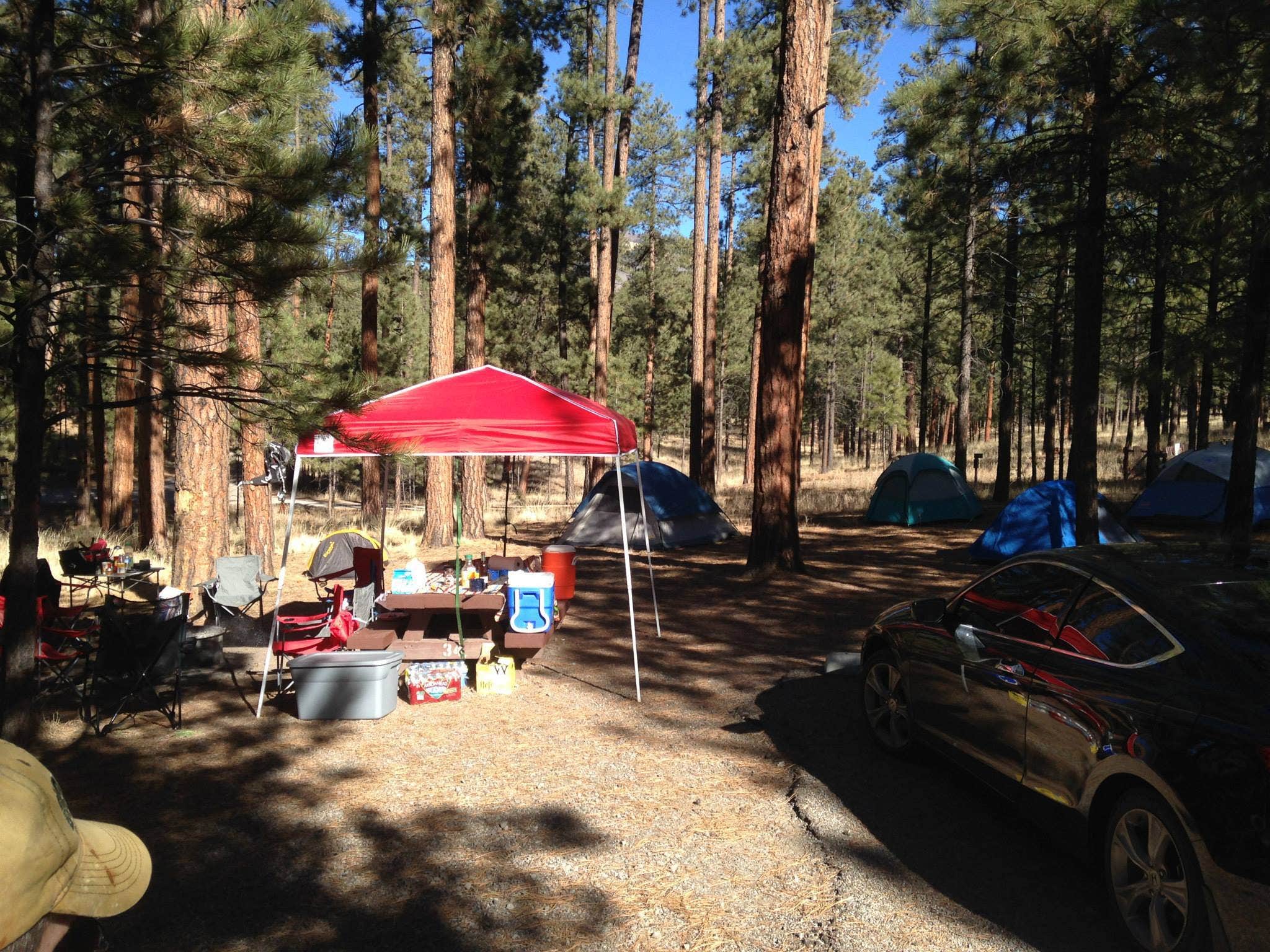 Camper submitted image from Jemez Falls Campground - 2