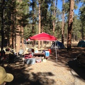 Review photo of Jemez Falls Campground by Kelly Z., January 20, 2015