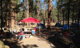 Kelly Z.'s photo at Jemez Falls Campground near Cochiti Lake, NM