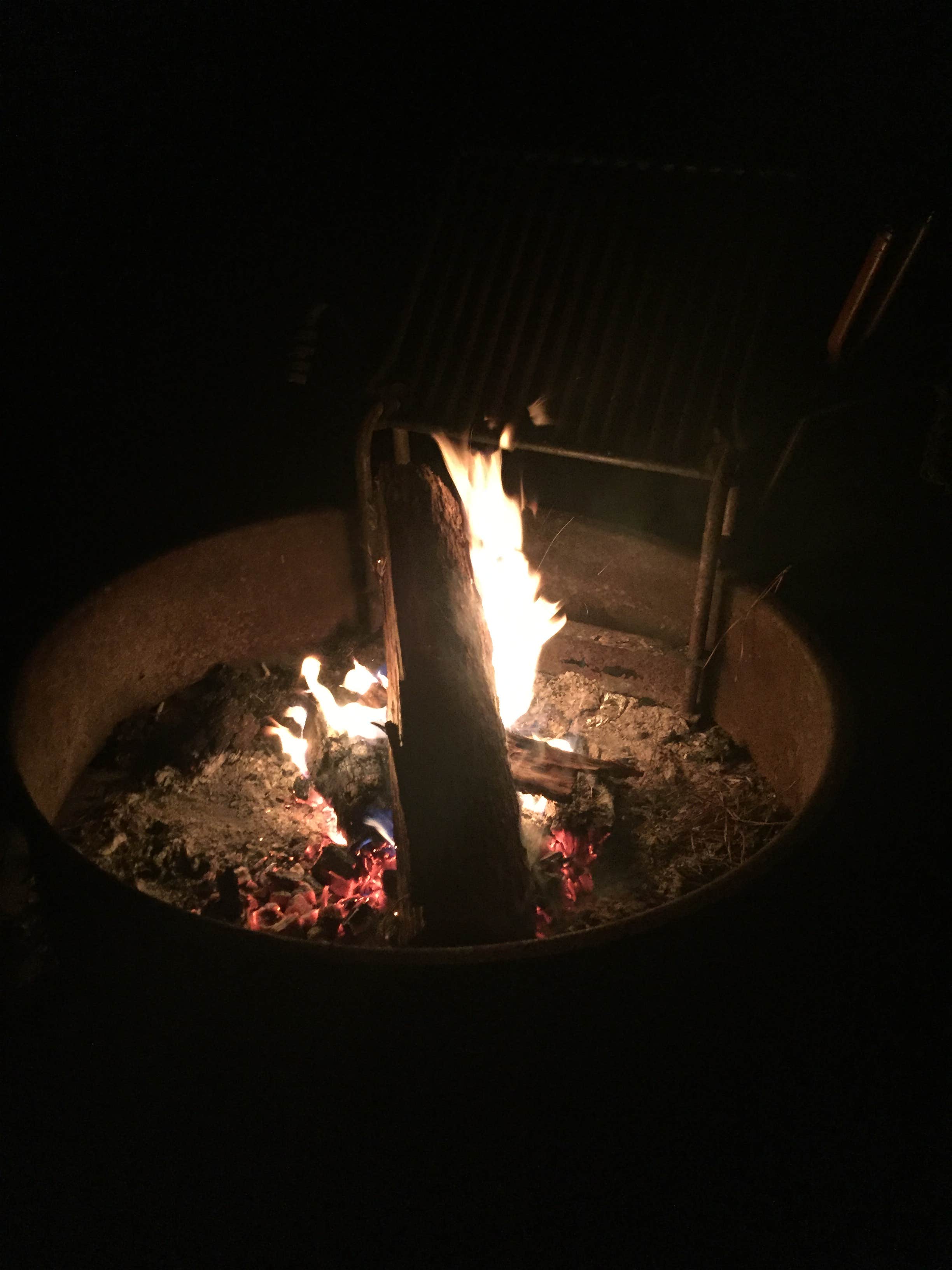 Camper submitted image from Crosswinds Campground — Jordan Lake State Recreation Area - 4