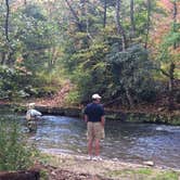 Review photo of North Mills River by Shannon K., February 2, 2017