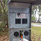 Review photo of Ocean Pond Campground by Skye K., February 2, 2017