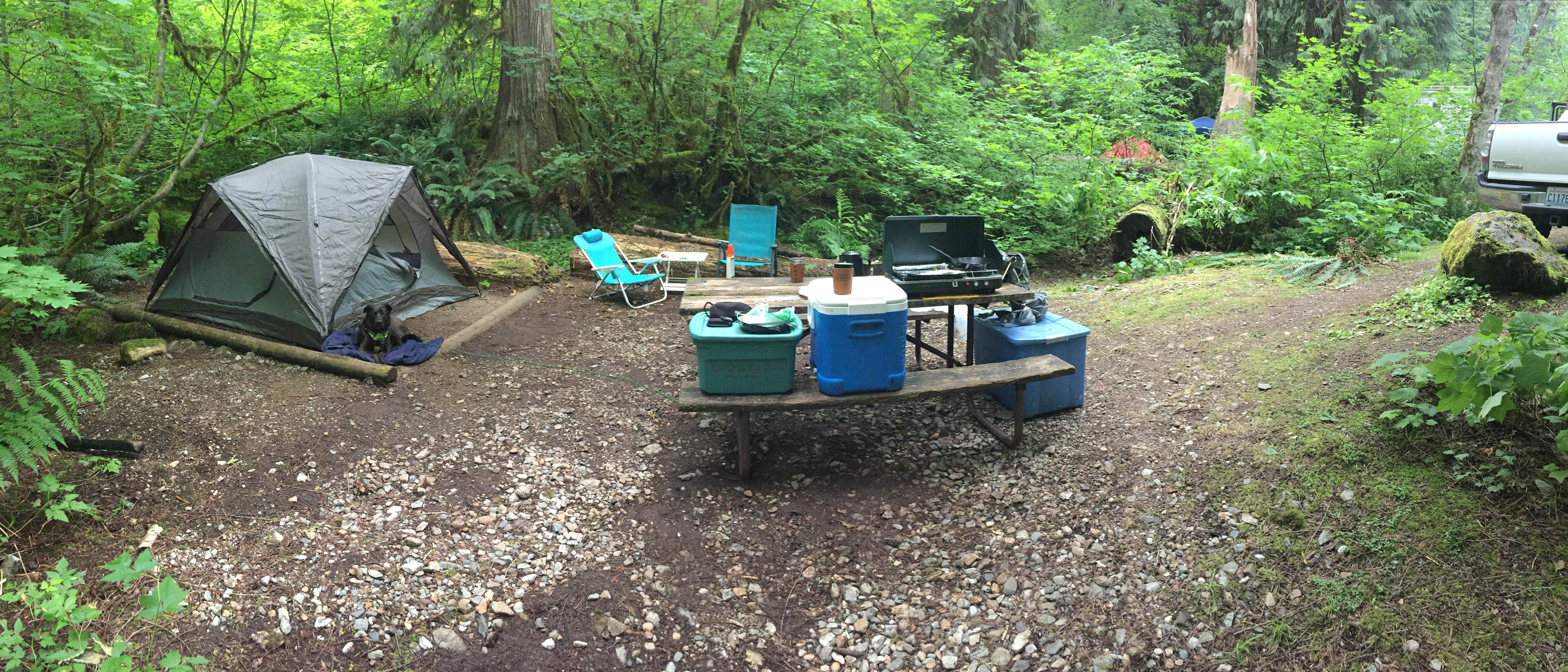 Kylee A.'s photo at Colonial Creek South Campground — Ross Lake National Recreation Area near North Cascades National Park