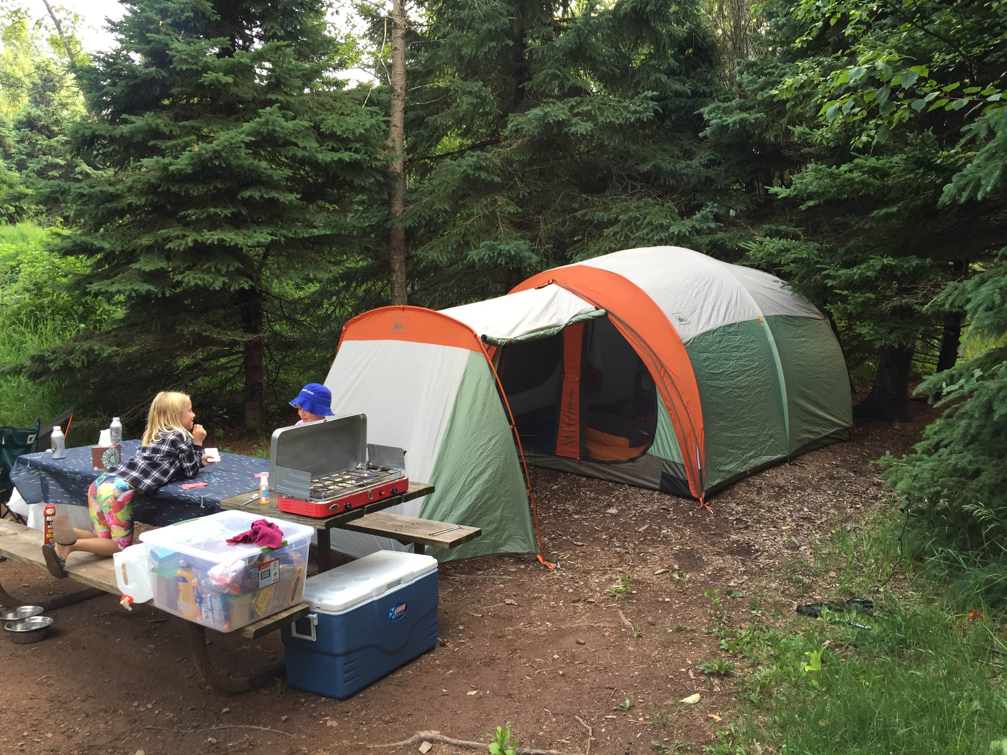Camper submitted image from Gooseberry Falls State Park Campground - 1