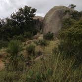 Review photo of Moss Lake Area — Enchanted Rock State Natural Area by Kim D., February 11, 2017