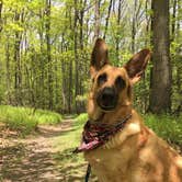 Review photo of Gambrill State Park Campground by Melissa C., February 12, 2017
