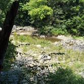Review photo of Audra State Park Campground by Liz Y., February 13, 2017