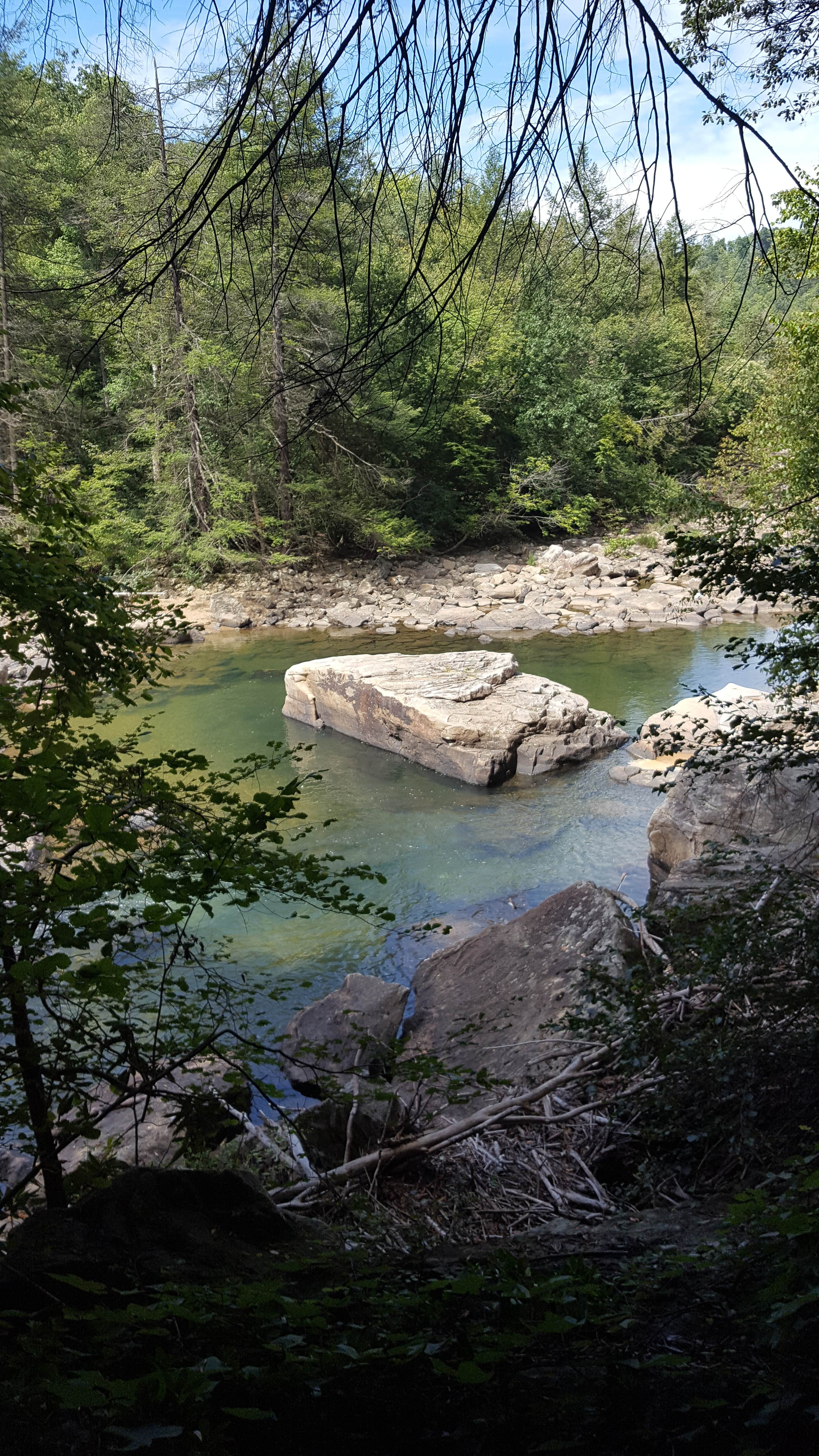 Camper-submitted photo at Audra State Park Campground in West Virginia