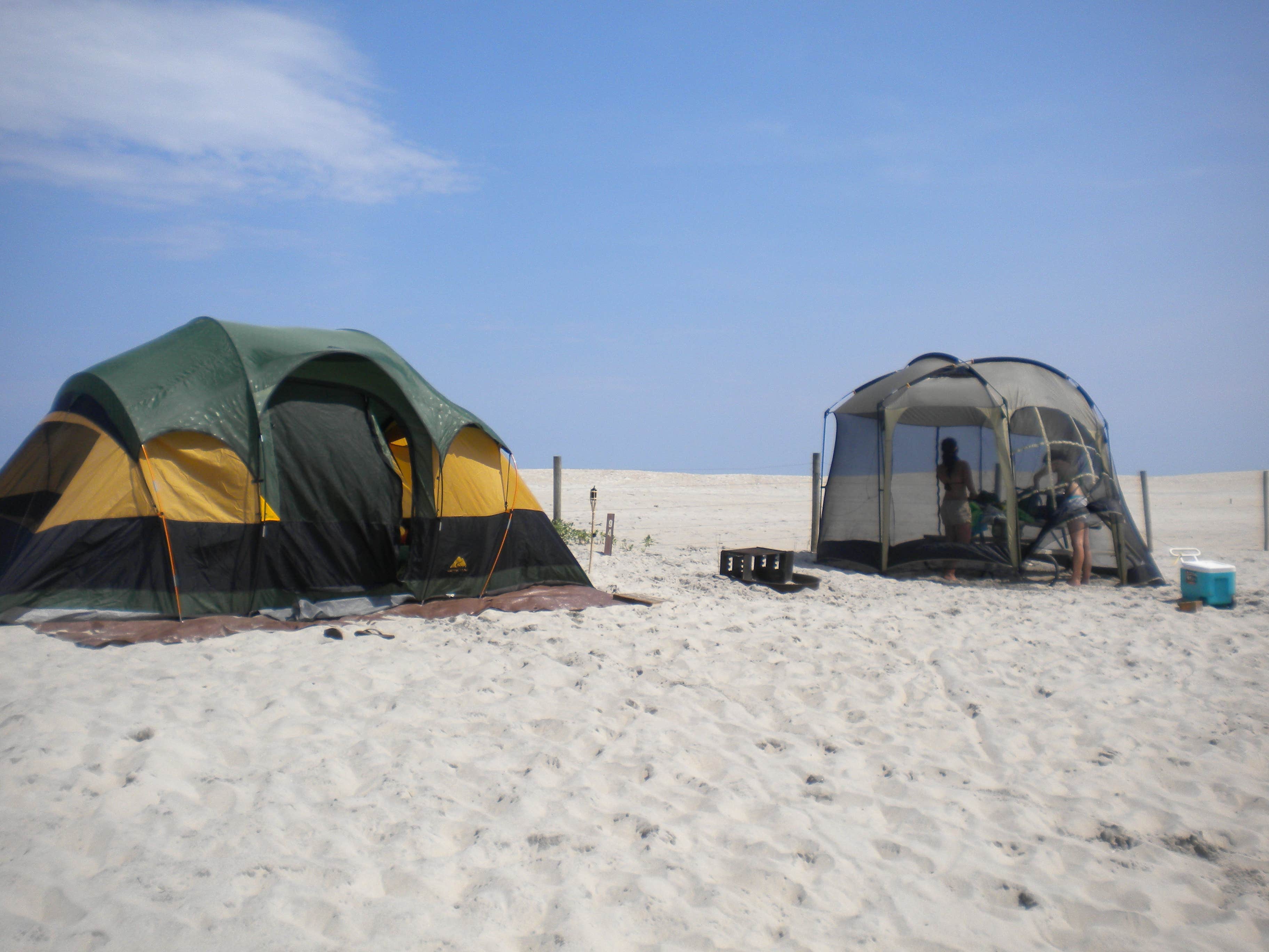 Melissa C.'s photo at Assateague Island National Seashore Oceanside Campground near Assateague Island National Seashore
