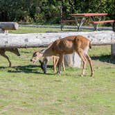 Review photo of San Juan County Park by Laura F., February 24, 2017