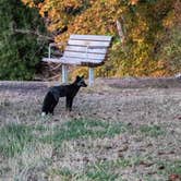 Review photo of San Juan County Park by Laura F., February 24, 2017
