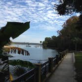 Review photo of Salt Springs Recreation Area by Fain H., February 25, 2017