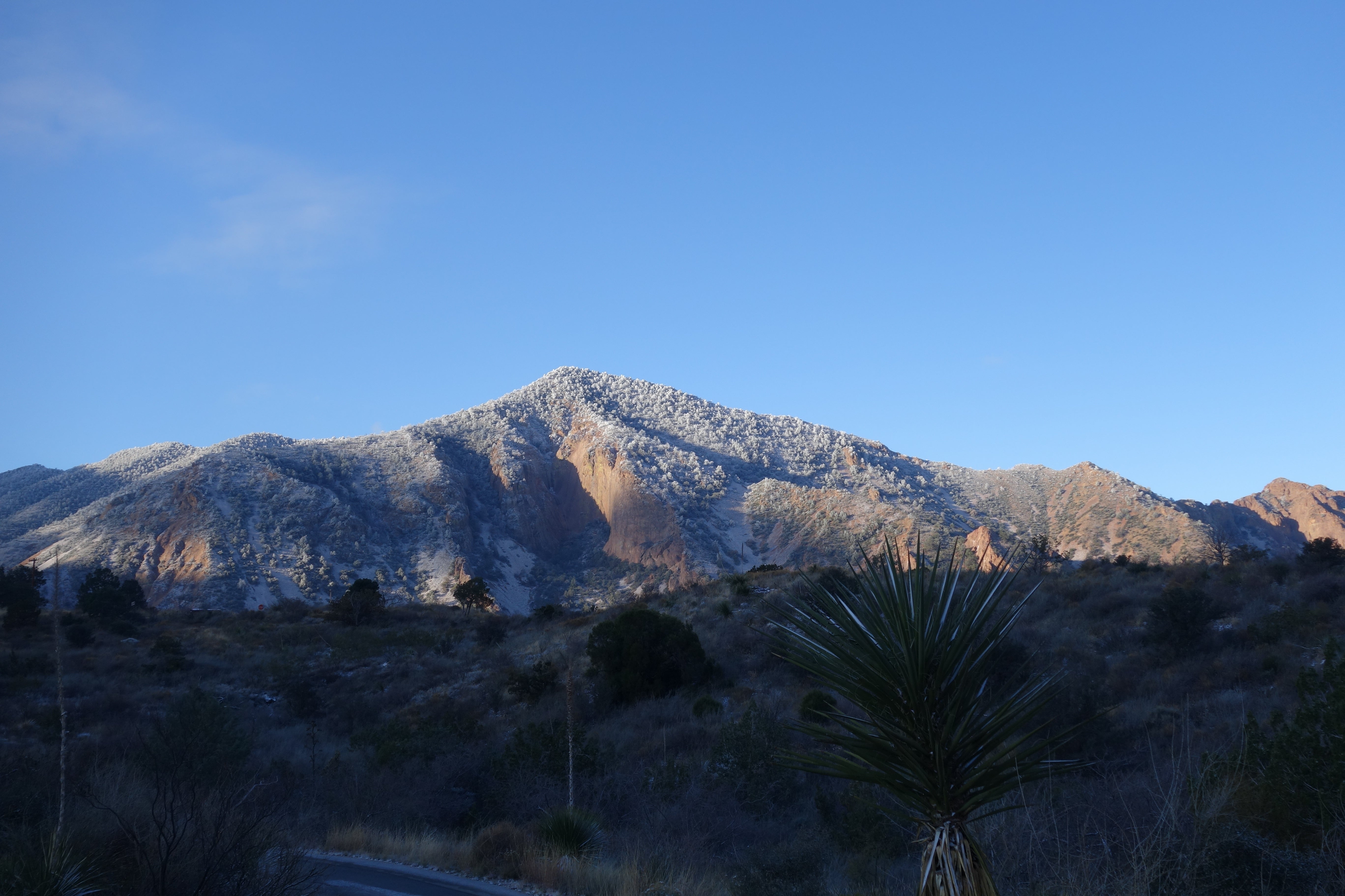 Camper submitted image from Chisos Basin Campground — Big Bend National Park - 1