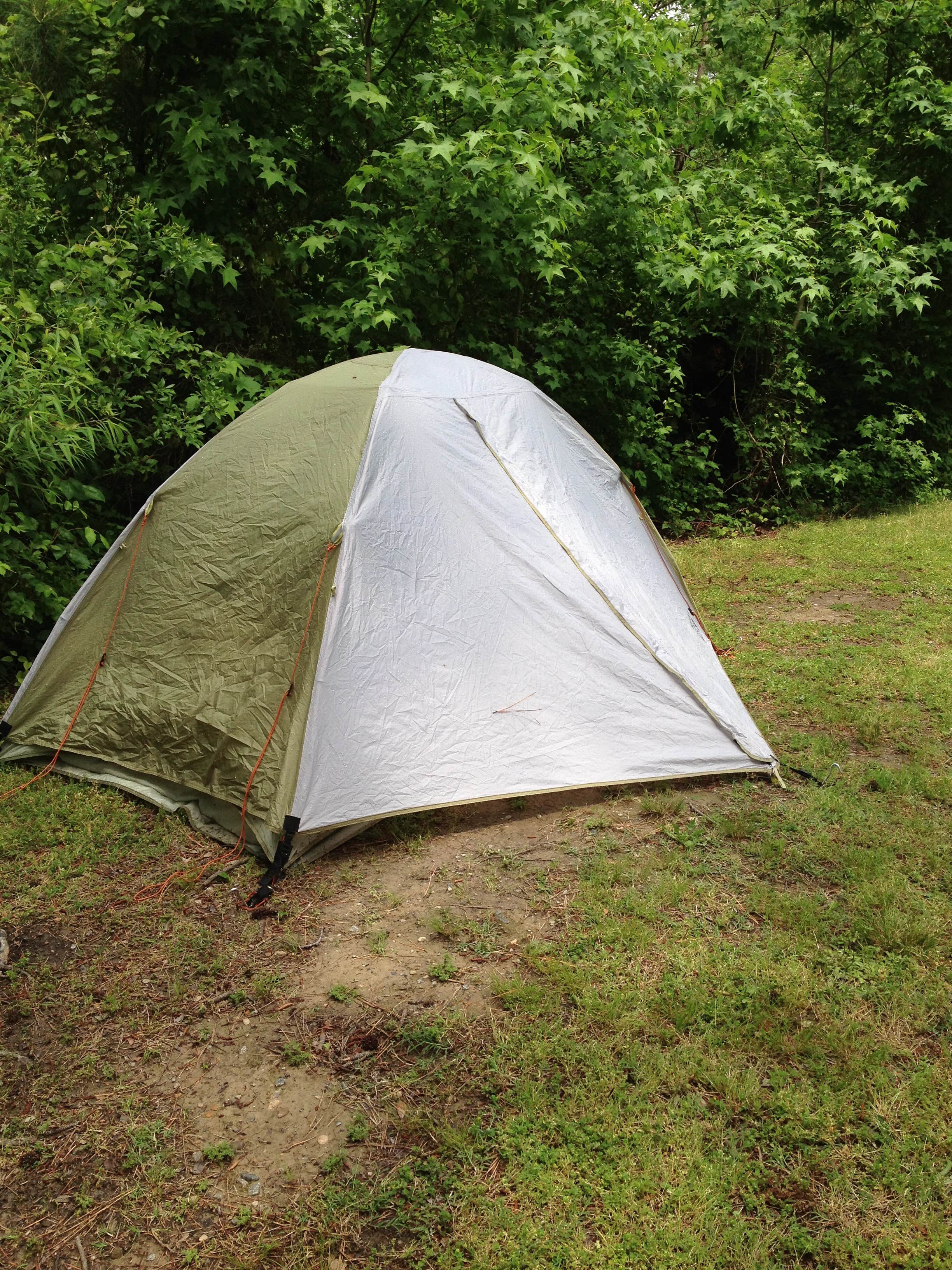 Camper submitted image from First Landing State Park Campground - 3
